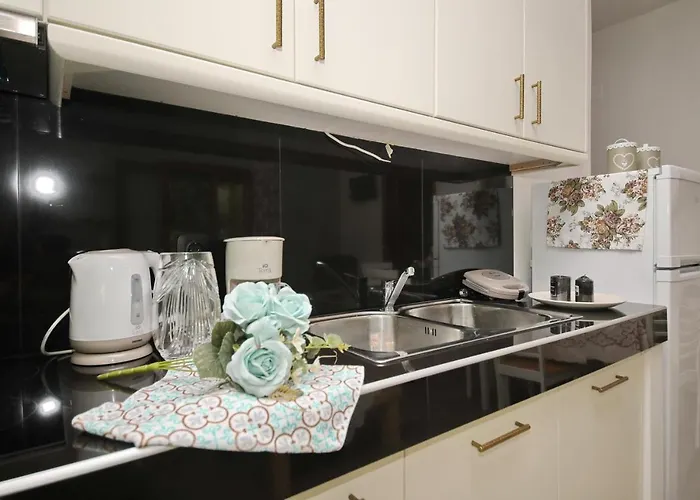 Koromilia Apartment Neo Klima